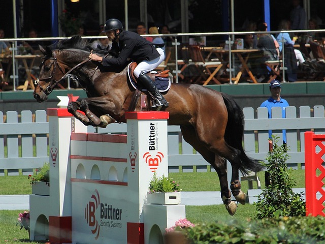 不懈的追求 不懈的追求