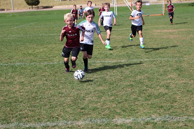 更关注比赛 更关注比赛