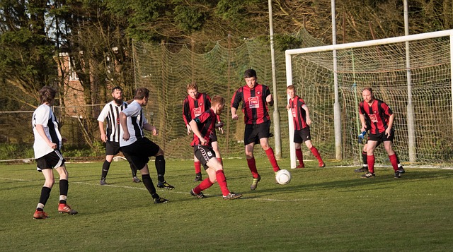 健身质量和 健身质量和