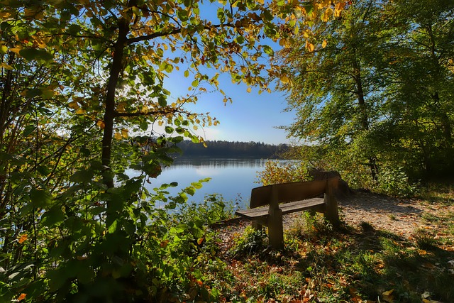 尊重和关注 尊重和关注