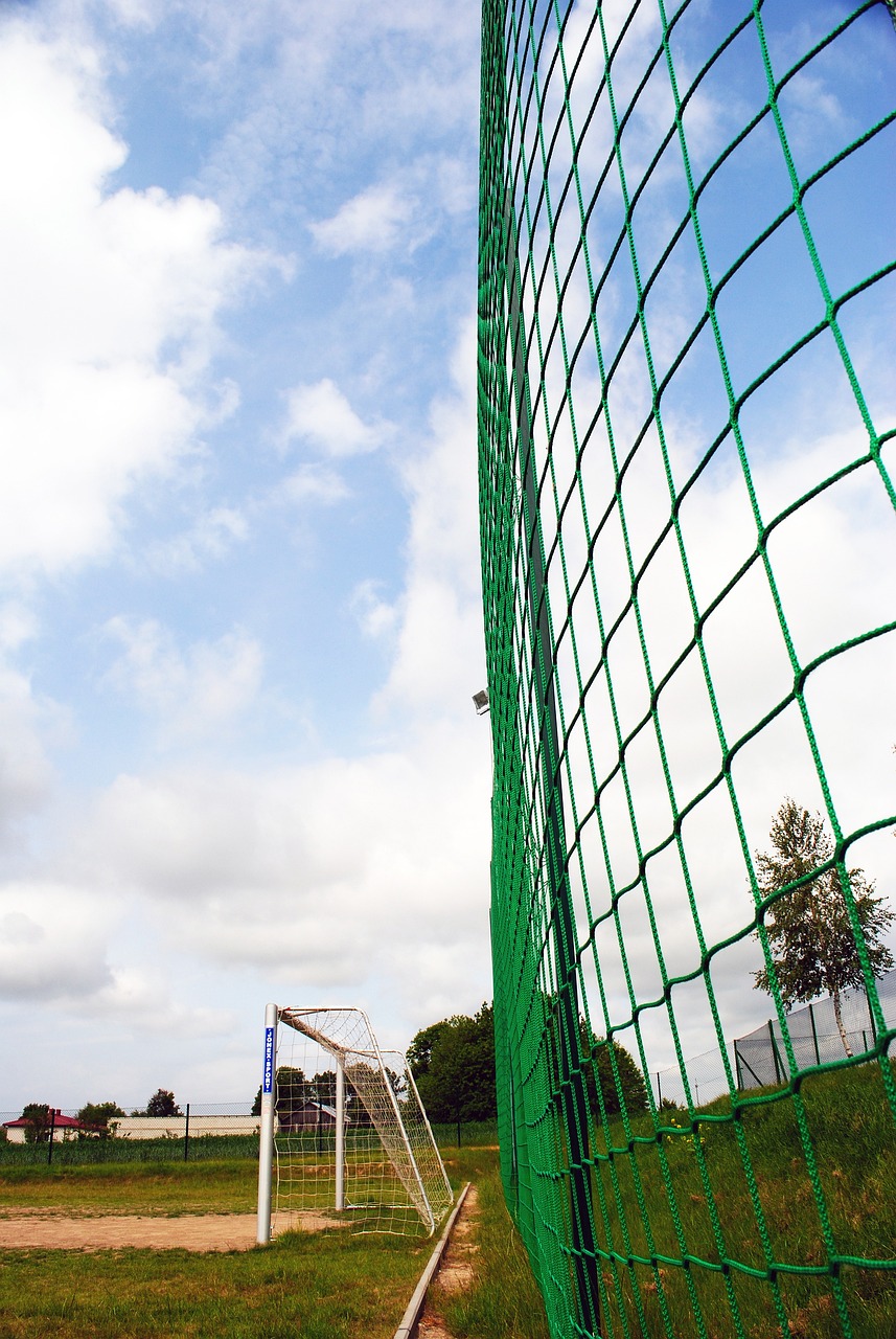 球能力和敏 球能力和敏