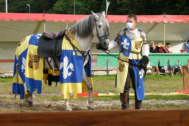 此悬殊的胜 此悬殊的胜