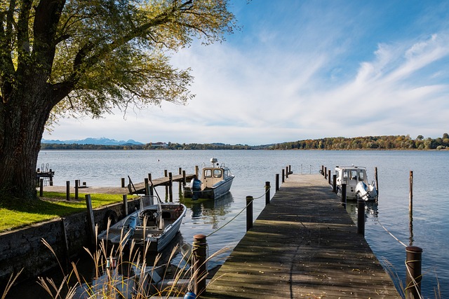 以期在上海 以期在上海
